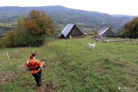 Trocha adrenalinu při sestupu - pes