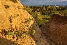 Adrenalinově prudká stezka rudou hlínou připomíná spuštění se do amerického Grand Canyonu (2020)