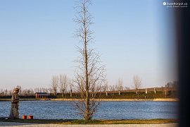 Lysovický rybník, u cesty k rezervaci Větrníky (2020)