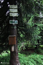 Turistický rozcestník na Travném před zrušením turistického značení (2010)