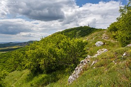 Vrcholové partie Pálavy (2016)