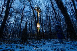 Dřevěný kříž v lese s Panenkou Marií... (2021)