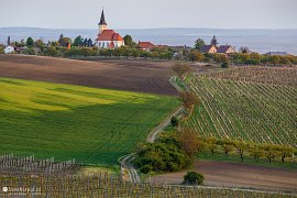 Pohled na Vrbici z Kobylího vrchu (2020)