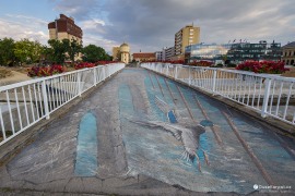 Malovaný 3D most přes řeku Vuku (2022)