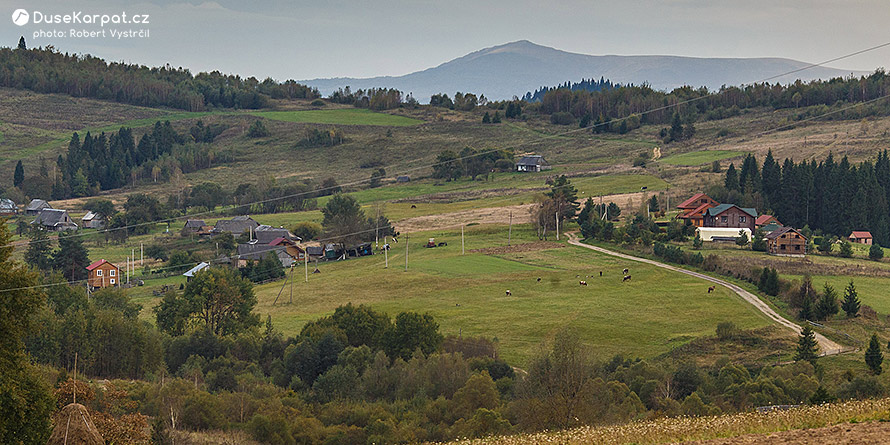 Vesnička Bukovynka, v pozadí hora Pikuj