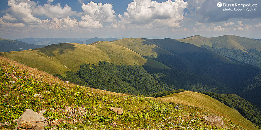 Malebně se vlnící hlavní hřeben Poloniny Krásné