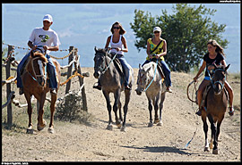Krásu Krymských hor si můžete vychutnávat i z koňského sedla