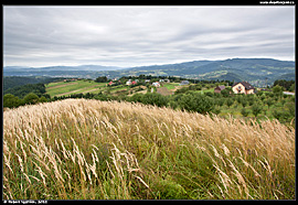 Beskid Wyspowy - pohled od osady Mostkówka u vesničky Szczerez přes ovocné sady k Sadeckým Beskydům