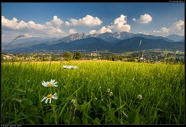 Večerní pohled na Tatry z úbočí hory Palenica Kościeliska