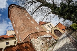 Wawel - Královský hrad (Zamek Królewski) (2017)