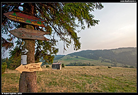 Malé Pieniny - sedlo Rozdiel (przełęcz Rozdziela)