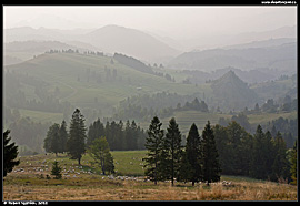 Malé Pieniny - pohled ze sedla Rozdiel do rezervace Bílá voda (rezerwat Biała Woda), špičatá skála napravo je Smolegova skála (Smolegowa Skała)