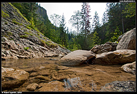 Malé Pieniny - kaňon Homole (wąwóz Homole)