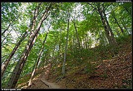 Výstup na Pieninský hrad (zamok Pieniny)