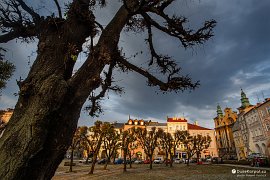 Přemyšl (Przemyśl) - centrální náměstí Rynek (2017)