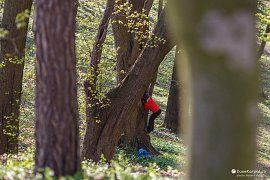 I v okolí Přemyšlu se dají hledat kešky, a ne vždy je to snadné (2017)