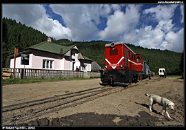 Lesní železnice Vișeu de Sus - stanice Făina (Faina)