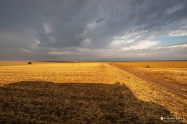 Plochá krajina v okolí Vadu s dramatickým nádechem přicházející letní bouře (2023)