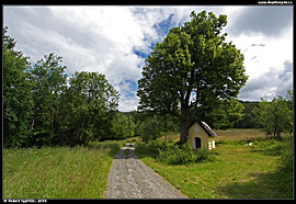 Sedlo Priehyby (815 m), sedlem prochází lesní cesta spojující osady Majdan a Livov na opačných stranách hor