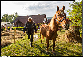Odpočívadlo pro koně na Huculské magistrále u penzionu v Gemerské Hôrce