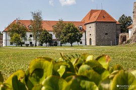 Tekovské muzeum na Levickém hradě (2020)