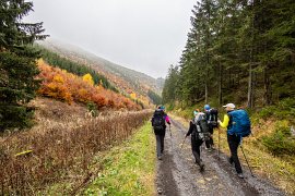 Trekeři na sestupu v Bocianské dolině (2024)