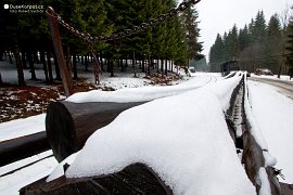 Oravská lesná železnica - stanice Tanečník (2012)