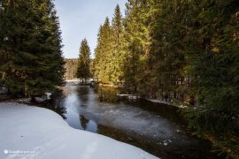 Pleso uprostřed neprostupných lesů (2023)