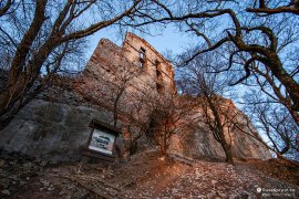 Křivolaké stromy stráží vstup do hradu, kulisy pro natáčení filmové pohádky jako dělané (2024)