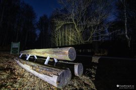 Huncokárská denní norma, představuje množství dřeva (tyto 3 kmeny), které museli huncokáři každý den zpracovat (2024)