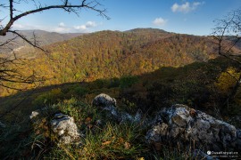 Výhled ze Sokolích skal (2022)
