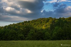 Všude kolem jsou krásné listnaté lesy (2024)