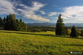 Horské louky pod Bystrou a pohled směrem na Nízké Tatry (2011)