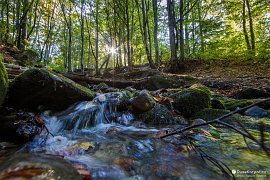 Horská bystřina nad Pylypcem (2018)