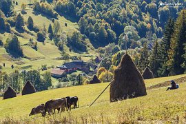 Malebná vesnička Bukovec pod svahy Boržavy (2018)