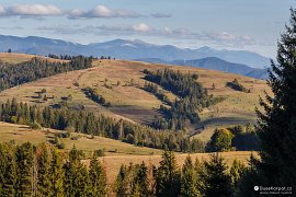 Výhled na gorganské vrcholy Nehrovec a Strimba ze hřbítku mezi Izkami a Bukovcem (2018)