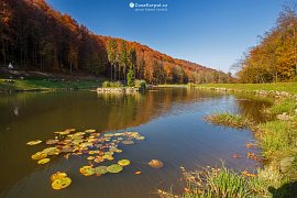 Umělé jezero Tur (озеро Тур) s ostrůvkem v parku Šenborna (2017)